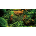 AWERT 30x18 inches Aquarium Background Seagrass Aquarium Background Aquatic Plant River Bed & Lake Fish Tank Background Vinyl Background - size: 30x18in/75x45cm