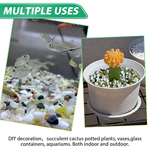 Succulent Rocks for Plants Tiny Pebbles for Planters 2.8LB Pea Gravel Bulk Course Sand Soil Small Decorative Stones for Indoor Bonsai Pots Cactus Top Dressing Aquarium Garden Landscape, Green