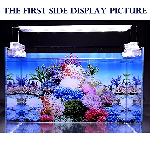 ELEBOX New 20" x 48" Fish Tank Background Stickers Wallpaper 2 Sided Seaweed Water Plants Aquarium Background Decoration - color: Sea Anemone, size: H:19.5"x L:48"