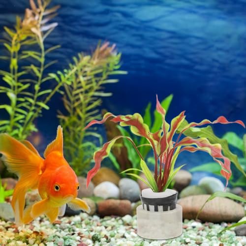 10 Sets Hydroponic Planting Basket with Sponges and Ring, Upgrade Aquarium Plant Weights Aquatic Water Plant Grass Containers Garden Slotted Mesh Net Cups Pots Fixed Rings for Hydroponics