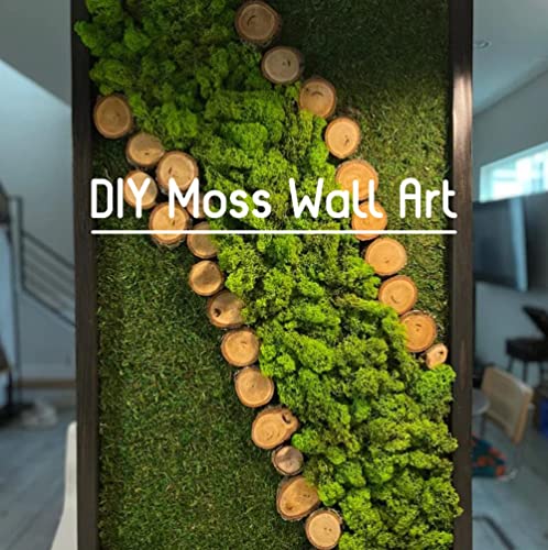 Preserved Reindeer Moss Natural Green DIY Kit Gardenning Art Wall Decor Florist Decor Easter Table Decor Wedding - color: Green-05, size: 0.85 lb