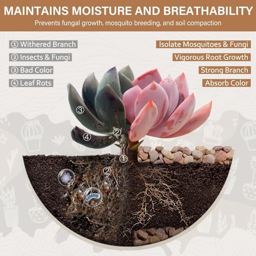 3 lbs Pebbles for Indoor Plants, 3/8 Inch Pea Gravel for Fish Tank, Decorative Rocks for Succulent, Natural River Stones for Vases, Cactus, Landscaping, Bird Bath, Aquarium, Peach - color: Peach, size: 3 Lb