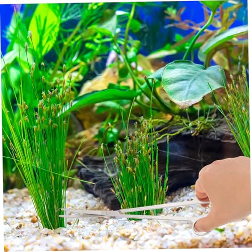 GANAZONO Aquarium Accessories Tool Set Scissors Tweezers and Spatula Designed for Aquascaping and Maintenance