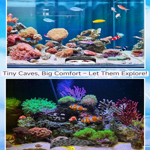 2 Pcs Aquarium Accessories Shrimp Cave,Fish Hiding Tools Supplies,Shrimp Tank Accessories for Shrimps Protection Aquarium Decoration