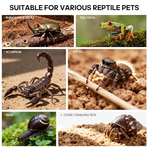 Jumping Spider Enclosure, Acrylic Terrarium with Magnetic Door & All-Side Ventilation, Easy-Clean Habitat for Spider, Tarantula, Mantis, Snail-5.9" x 5.9" x 9.8"(Tweezer and Bowl Included) - size: Basic Vertical-Kit