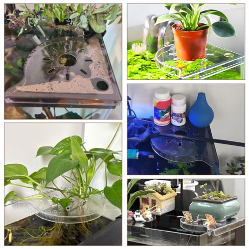 6 PCS/Set Aquarium Plant Holder, Corner Fish Tank Plant Holder for Rimless Aquarium, Acrylic Aquariums Plants Shelf for Aquatic Plants, Fish Tank Decor and Organizer