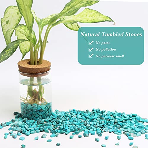 QICQDRAM Howlite Turquoise Small Tumbled Chips 0.9 Lb/405g Crystal Stone Decorative Pebbles for Home Decoration & Fish Turtle Tank, Vase Filler, Plants Decor - color: Turquoise