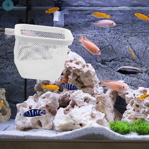 Totority Fish Tank Breeder Net with Suction Cups Durable Isolation Box for Shrimp and Betta Fish Easy Installation and Cleaning Spawning and Protection of Newborns