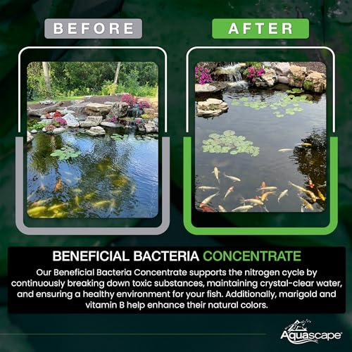 Aquascape Beneficial Bacteria Concentrate for Pond and Water Features, 1.1-Pound, 98949 - size: 1.1 lb