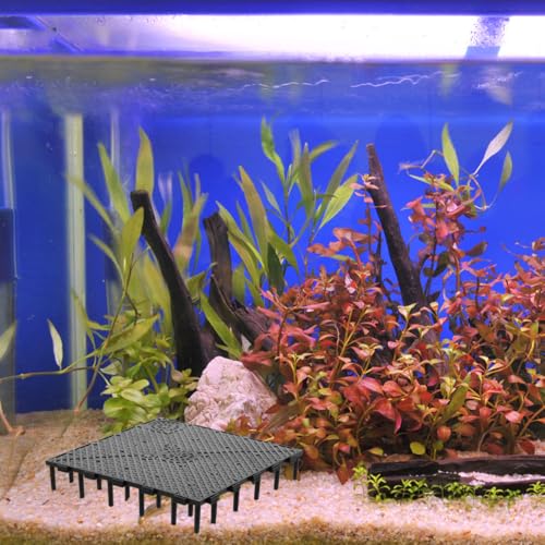 TEHAUX Fish Tank Bottom Filter Plate 6 X 6 X 1.06 Inch Pvc Aquarium Undergravel Filter Divider for Aquatic Pets Breeding and Tank Separation - size: 10pcs