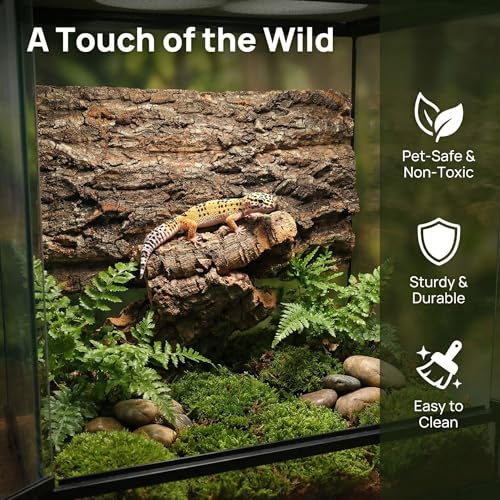 TOYANDONA 2pcs Natural Cork Bark Terrarium Background - 11. 8x7. 9in Reptile Climbing Mat Hideout, Habitat Decor for Bearded Dragon Lizard Gecko Spider Turtle Tank Supplies