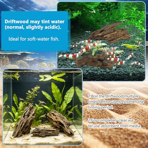 3 Pcs Natural Honeycomb Wood 8-12", Porous Aquarium Driftwood, Cholla Wood Shrimp Shelter Breeding Cave, Shrimp Dragon Wood for Fish Tank, Aquascaping, Reptile, Terrarium Decor