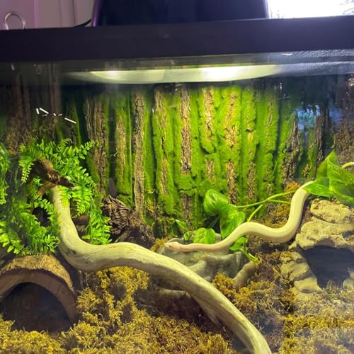 PINVNBY Cork Terrarium Background,Reptile Bark Backdrop Wall Decor and Artificial Moss for Gecko,Lizard,Tortoise,Chameleon (2 Pack) - size: 【2 PCS】