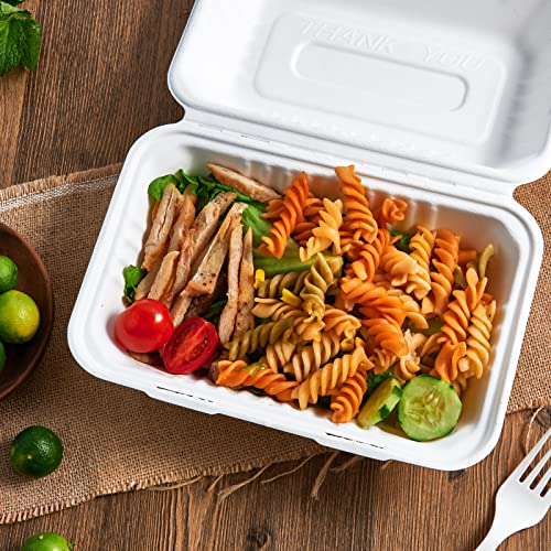 ECOLipak Clamshell Take Out Food Containers, 9 * 6 inch 75-Pack Disposable To Go Containers, To Go Boxes for Food Salad - color: 9*6 in, 1-Compartment,75Pack