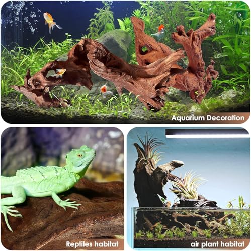 Natural Small Aquarium Driftwood for Fish Tanks & Reptile Terrariums – 100% Safe Fish Tank Decorations, Unique Twisted Branches 5-Piece 4-8 Inch Low Tannin, Easy to Sink - size: Mopani Driftwood 4 to 8 Inch (Pack of 5)