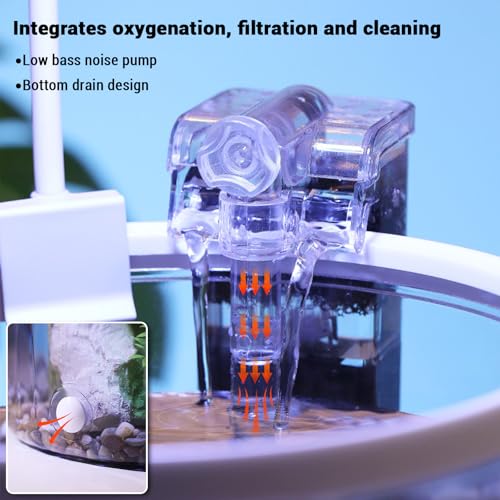 GarveeLife Small Fish Tank, Betta Fish Tank kit with LED Light, Oxygen Generator, Fish Tank Starter Kits for Beta,Goldfish (Black, 1.5 Gallon)