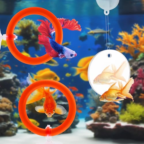 2pcs Bettas Fish Enrichment Toys Ring, with Mirror/Floating Ball, Exercise Floating Mirrors and Training Ring for Fish Tank, Aquarium Feeding Rings Accessories (Orange) - color: orange
