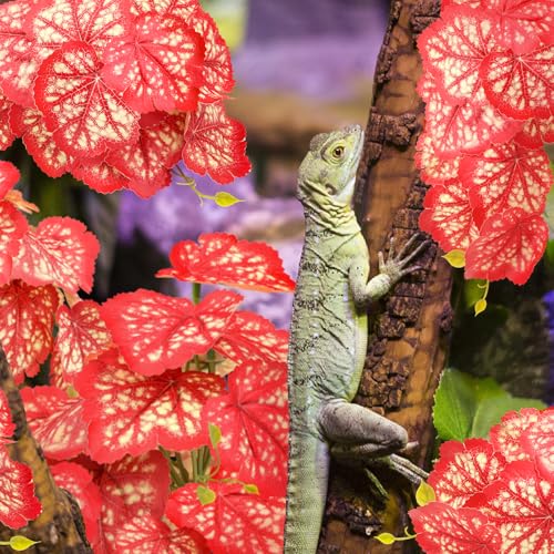 QUOZUO 2 Pack Reptile Plants for Terrarium, Artificial Leaves Habitat Decorations with Suction Cups, Terrarium Hanging Plants Vines for Bearded Dragons Lizards Snake Geckos Frogs - Red - color: Red