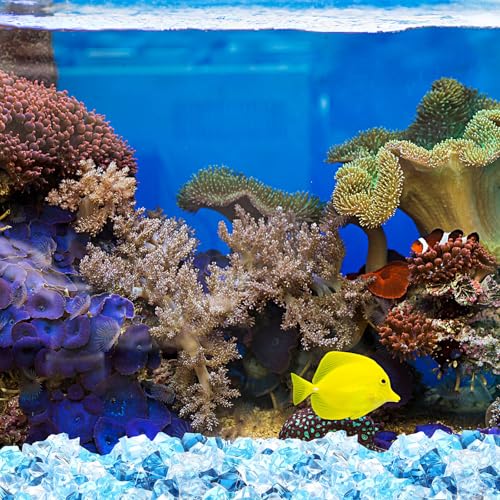 Syhood 570 Pcs 5 Sizes Mixed Blue Fake Crushed Ice Rocks Blue Aquarium Rocks Plastic Gemstone Diamond Acrylic Crystal Gems for DIY Craft Wedding Table Scatter Vase Fillers Fish Tank Decor Centerpieces - color: Blue Series