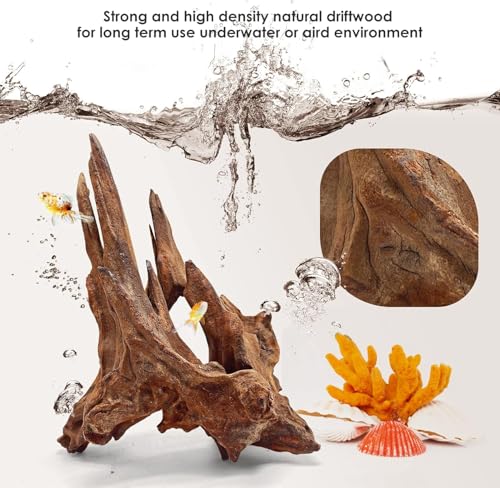 Jorewood Natural Aquarium Driftwood for Fish Tanks & Reptile Terrariums – Safe Fish Tank Decorations, Unique Twisted Branches 3-Piece 7-11 Inch Low Tannin, Easy to Sink - size: Mopani Driftwood 7 to 11 Inch (Pack of 3)