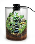 Desktop Glass Terrarium with Grow Light (7.5" H x 5.9" D) - for Succulents, Moss, Mini Gardens, Betta Fish Tanks, Mushroom Cultivation | Indoor Plant Growth | Office/Home Decor | Plant Lover Gifts - size: 7.5”
