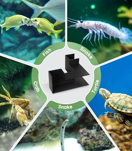 Creative Aquarium Decor - Aquarium Cave Hideout 360° Viewing, Interesting Aquarium Tunnel with 2 Entrances, Fish Tunnel for Aquarium, Shrimp Cave for Aquarium, Fish Tank Decorations Hideout
