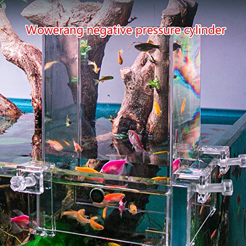 Fish Breeder Box for Fishtank Acclimation Hatchery Incubator Landscaping Aquarium Tank Hatchery Incubator Breeding
