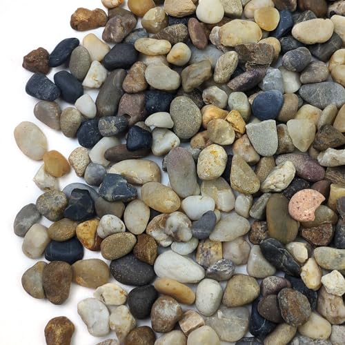 5LB Decorative River Rocks Gravel - 2/5/'' Mixed Color Gravel for Vase Filling, Flower Pot Paving. Gravel for Garden Decoration,Landscaping,Aquarium Aquascape Gravel, Fish Tanks Gravel. - size: 5LB, style: 8-12MM