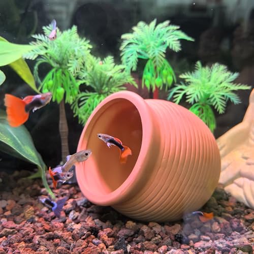 M2cbridge Pottery Ceramic Jar Natural Clay Vase for Cichlid Small Fish Shrimp Aquarium Decor to Play Hide Breed Habitat (Red Pots, 2pcs) - color: Red Pots, 2pcs