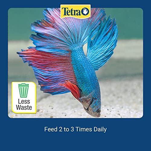 Tetra TetraBetta Floating Mini Pellets (1 Bag), 0.15 oz (77023) (Pack of 2) - size: 0.15 Ounce (Pack of 2), style: Mini Pellets