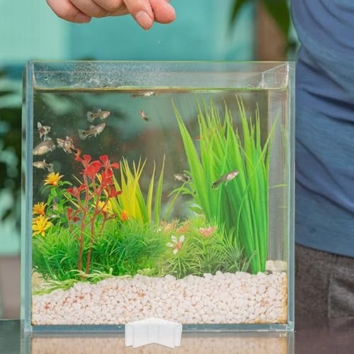 Toddmomy 10pcs 90-Degree L-Shaped Silicone Fish Tank Corner Protectors, 5mm Aquarium Edge Guards, Bumpers for Furniture and Safety, Replacement Corner Guards for Home Use