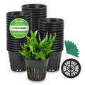 GROWNEER Net Pot 50 Pcs 3 Inch Garden Slotted Mesh Net Cups, Heavy Duty Hydroponic Pots Supplies with 50Pcs Plant Labels, Aquaponics Planting Growing Basket for Indoor Outdoor - size: 3 Inches, style: 50 PCS