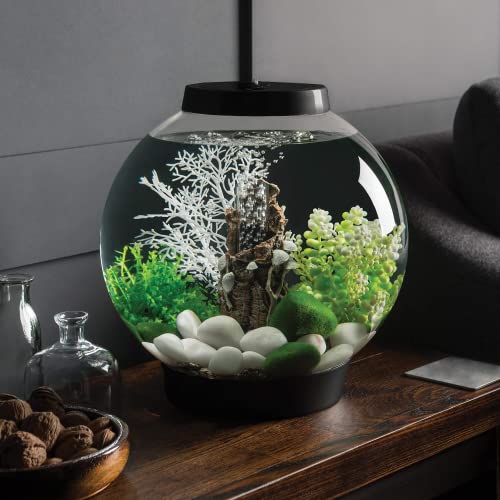 biOrb Classic 15 Acrylic 4-Gallon Aquarium with Multi-Color Remote-Controlled LED Lights Modern Compact Tank for Tabletop or Desktop Display, Black - color: Black, size: 4 Gallon, style: MCR Lighting