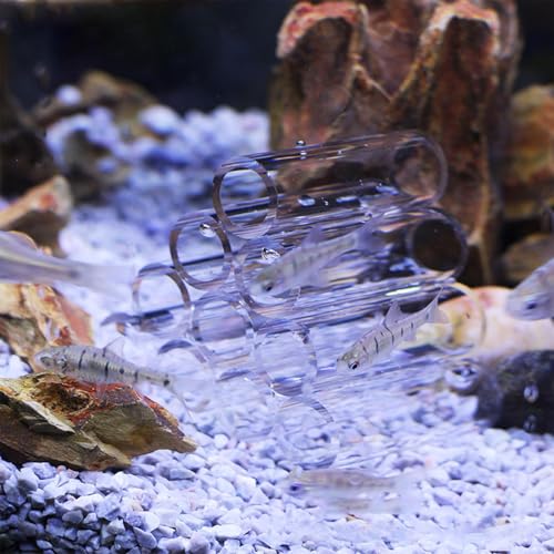 Aquarium Shrimp Cave - Clear Acrylic Breeding Habitat, Crystal Shelter Tube, Secure Aquatic Hideaway | Shrimp Breeding Tube for Small fishss Tank Environment - color: 10 Tubes