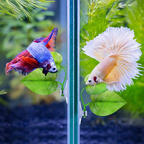 Boao 4 Pieces Betta Fish Tank Accessories Betta Leaf Hammock Pad Simulating The Natural Habitat for Tank Aquarium Spawning Grounds Breeding Resting Bed(Double Leaf) - style: Double Leaf