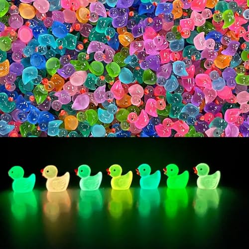 Arcimatto 240 Pack Mini Ducks Tiny Resin Duck Bulk Decor Figures for Miniature Dollhouse Decor Garden Aquarium Potted Ornament, DIY Charm Crafts Hide and Seek Prank Party Favor Toys Gag Gifts - style: Luminous Colorful Ducks