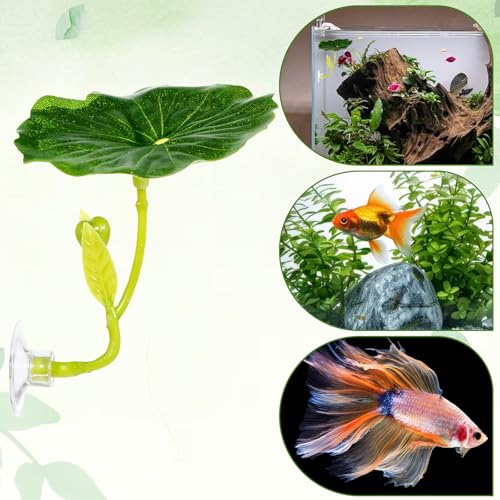 QfwdfcTrenz 3 Pcs Betta Fish Leaf Pad Simulating The Natural Habitat Green Hammock for Fish Spawning Grounds Leaves Improves Betta's Health Comfortable Resting Bed