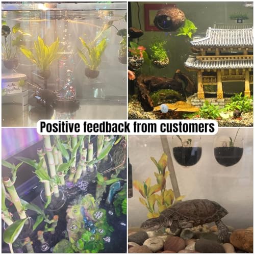 Hiceeden 6 Pcs Aquatic Plant Holder, Glass Aquarium Plant Pot with Suction Cup, Red Worm Cups Fish Feeder for Fish Tank Aquascape Decoration