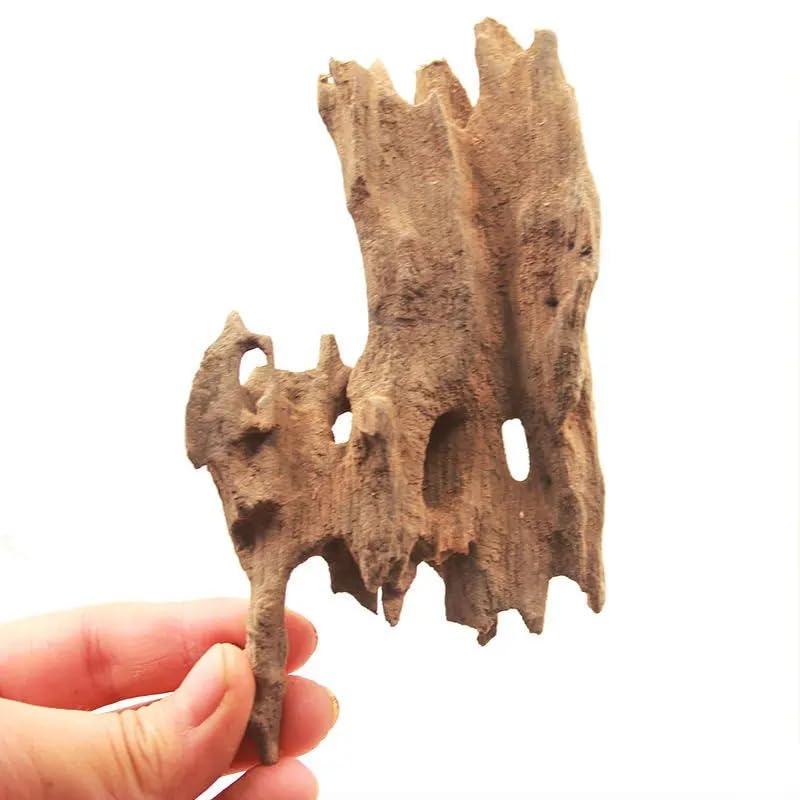Fish Tank Natural Porous Wood Driftwood Ornament for Aquarium Decoration Hermit Crabs Shrimp Fish Aquarium Accessories… (10-15cm) - color: 10-15cm