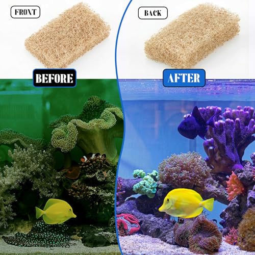 Threlaco 12 Pcs Ammonia Remover Inserts Compatible with Flex/spec/evo, Flex 32.5 Media, Replacement Aquarium Filter Media for Freshwater and Saltwater Aquariums, Removing and Reducing Ammonia - color: Brown