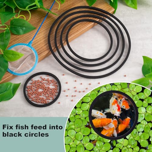 10PCS Fish Feeding Rings, 5 Sizes Oval Aquarium Floating Plant Barriers, Foam Fish Feeder Rings, Fish Tank Aquarium Accessories for Fish, Floating Plant - Black