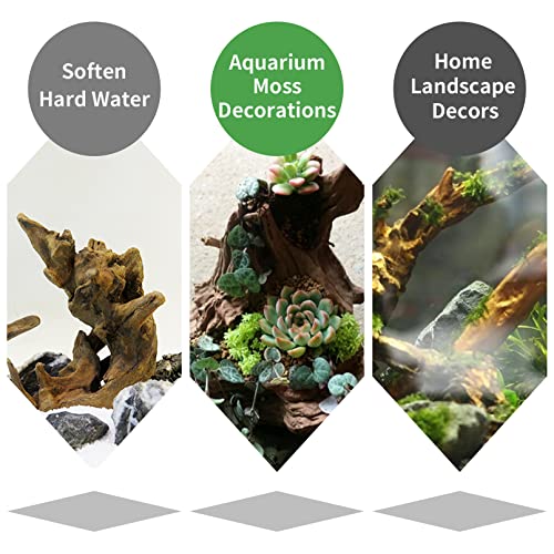Hamiledyi 5 Pcs Driftwood Branches Aquarium Wood Decoration Natural Fish Tank Habitat Decor Wood for Lizard Assorted Size-Small
