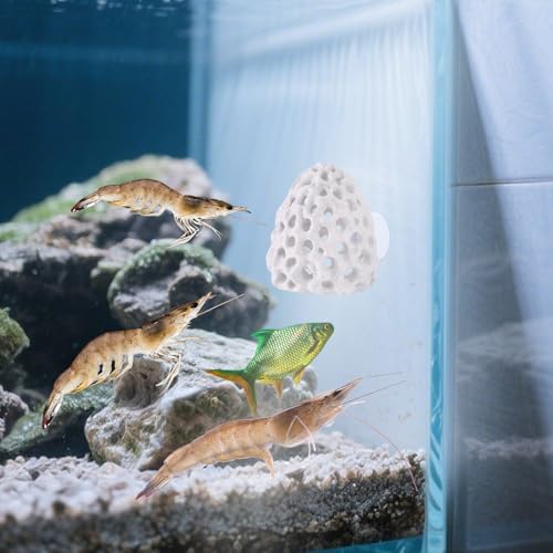 Penitue 2pcs Shrimp Hides for Aquarium, Multi-Hole Shrimp Dome Hide House with Suction Cup Coral Design Betta Fish Toys Fish Tank Accessories for Guppy and More Hiding Resting (White)