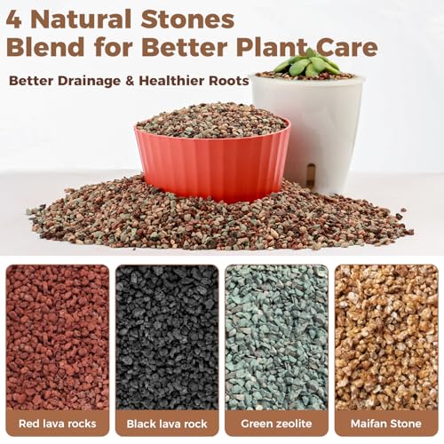 44lb Mix Lava Rocks for Plants 1/4" Horticultural Pumice for Plants, Succulent Cactus Soil Potting Mix - Horticultural Sand Aquarium Gravel Drainage Rocks for Potted Plant, Bonsai Soil, Top Dressing - size: 1/4 Inch