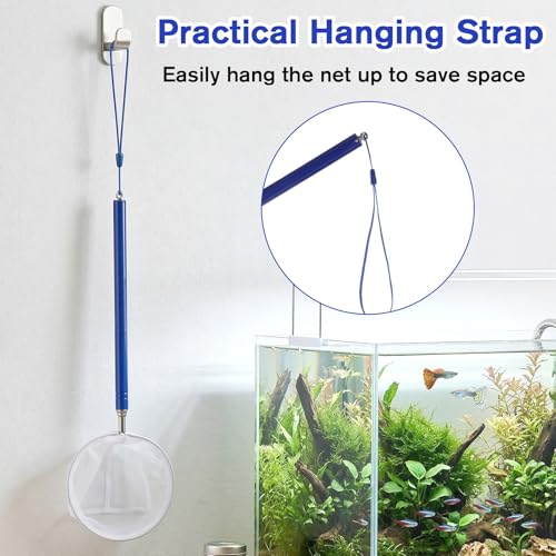 Aquarium Fish Net, 4 Inch Fine Mesh Shrimp Nets with 12.4" to 43" Long Extendable Stainless Steel Handle Round Small Fish Nets for Fishes Shrimp Tank Pond Creek Food Residue Debris Skimming Tool