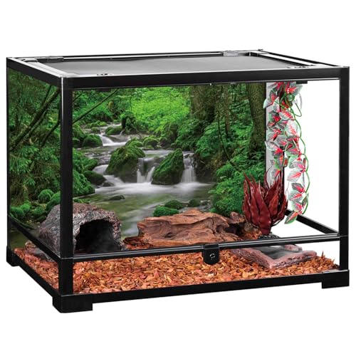 AWERT 24x12 inches Forest Terrarium Background Stream Green Huge Tree Reptile Habitat Background Stone Stream Tree Background Tropical Rainforest Aquarium Background - size: 24x12in/60x30cm
