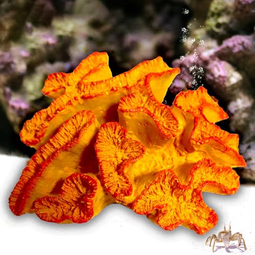 Besimple Aquarium Coral Ornaments Decor Fish Tank Plants Decoration for Aquarium Landscape, Orange - color: Orange