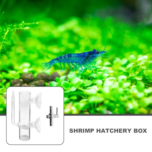 POPETPOP Shrimp Tank Accessories Suction Incubator for Shrimp Eggs Hatchery Box Breeding
