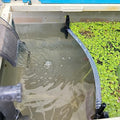 Floating Plant Fence for Aquarium, Separates Plants, Automatically Adjusts Height with Water Level, Suitable for Most Aquariums. (1 PCS) - style: 1 PCS