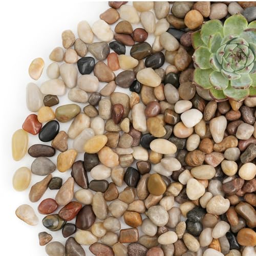 NUPICK 3lb River Rocks for Plants Indoor, 1/5 Inch Mixed Pebbles for Vase Fillers, Decorative Pea Gravel for Fish Tank, Natural Polished Stones for Succulent, Bonsai, Landscaping, Bird Baths - color: MIX, size: 3Lb(1/5")